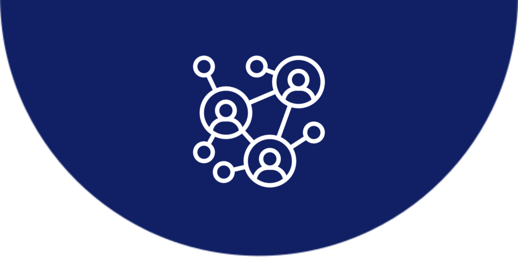 Network icon